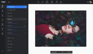 Fotor Review: Online Photo Editor with HDR Support & More