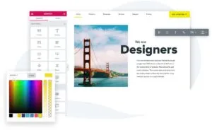 Homepage design Elementor review by Tekpon