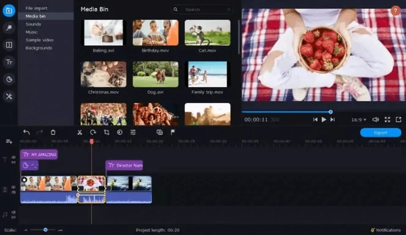 Movavi Video Editor Plus