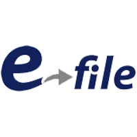 E-file logo review by Tekpon