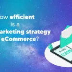 SMS-marketing-campaigns-for-eCommerce SMS-marketing-campaigns-for-eCommerce
