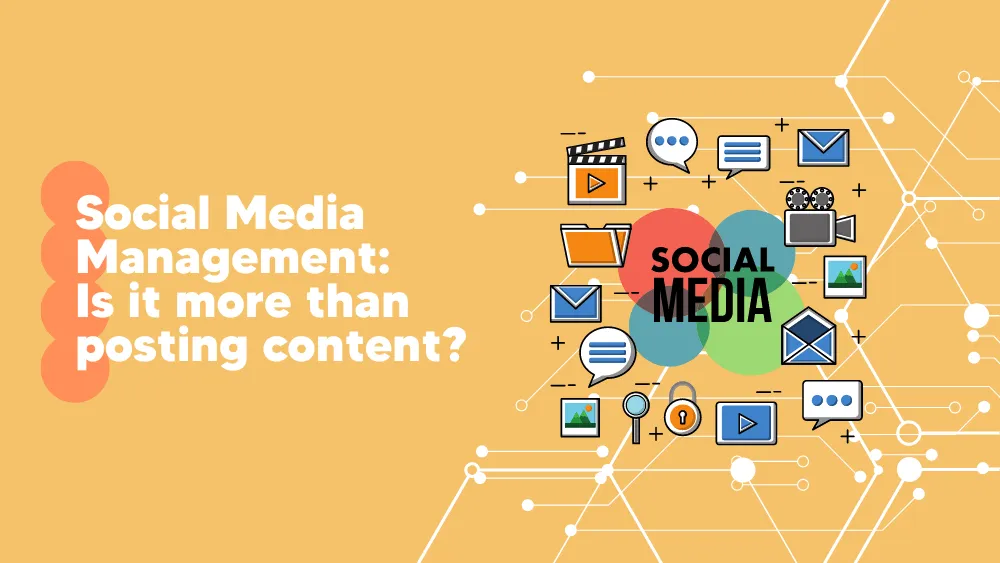 Social Media Management  Marketing Insights for SaaS on Tekpon