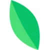 Kvitly Favicon