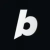 Bolt.new Favicon