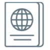 VisaSystFavicon